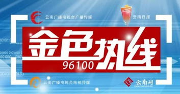 王喜良市長做客金色熱線，共話昆明網絡技術轉讓新機遇
